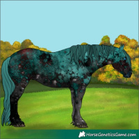 Horse Color:ERROR: UNKNOWN ANOMALY