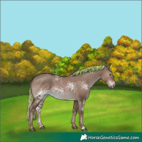Horse Color:Painted White Spotted Liver Red Dun Mushroom Rabicano 