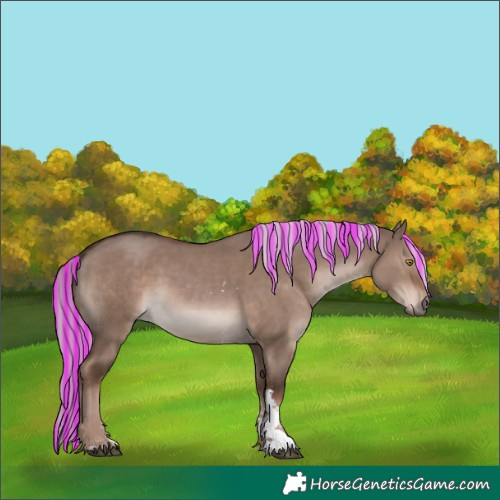 Horse Color:Painted Liver Red Dun Mushroom Sabino Rabicano