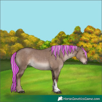 Horse Color:Painted Liver Red Dun Mushroom Sabino Rabicano 