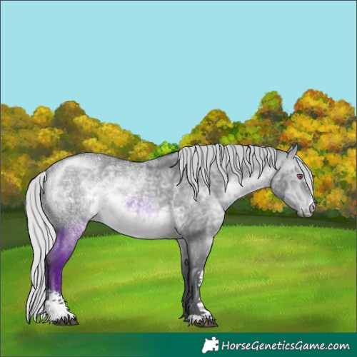 Horse Color:Silver Brown Chinchilla Ice Sabino 