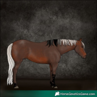 Horse Color:Void Silver Brown Tobiano 