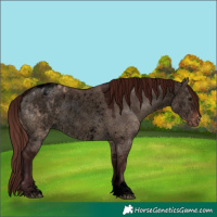 Horse Color:Void Chocolate Brown Dun Sabino Varnish Rabicano 
