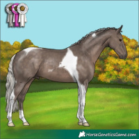 Horse Color:Silver Black Tobiano