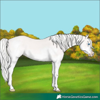 Horse Color:Platinum Palomino Splash 