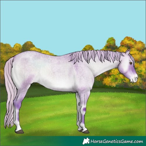 Horse Color:Watercolor White Spotted Silver Brown Roan Onyx Varnish 