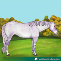 Horse Color:Watercolor White Spotted Silver Brown Roan Onyx Varnish 