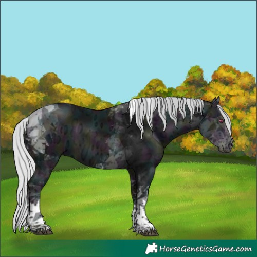 Horse Color:Midnight Silver Brown Chinchilla Ice Dun Tobiano