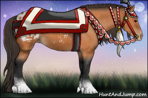 Horse Color:Bay Appaloosa 