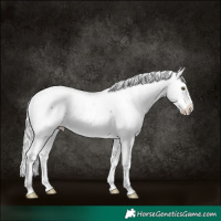 Horse Color:Platinum Silver Buckskin Sabino Splash Snowcap 