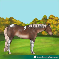 Horse Color:Liver Chestnut Mushroom Tobiano 