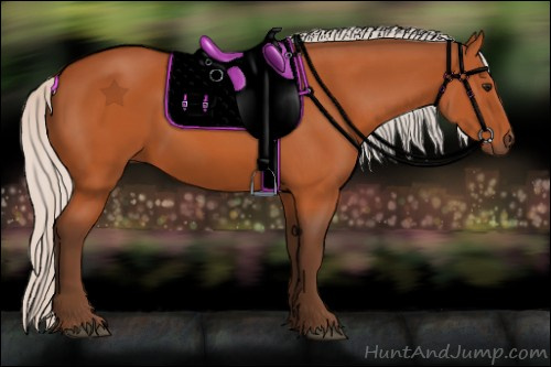 Horse Color:Silver Bay 