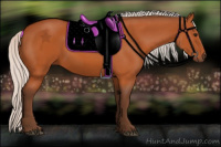 Horse Color:Silver Bay 