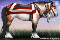 Horse Color:Bay Frame 