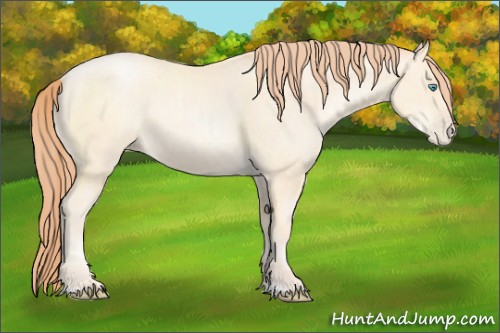 Horse Color:Classic Cream Champagne Pearl Sabino