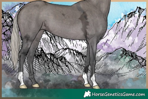 Horse Color:Silver Brown Ice Dun 