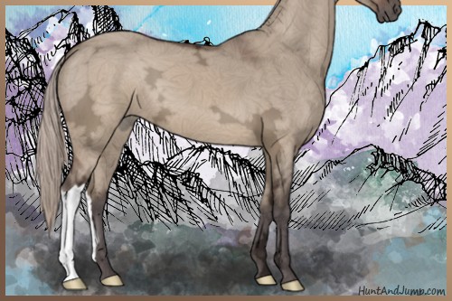 Horse Color:Silver Brown Ice Dun 