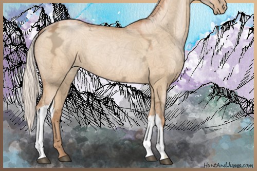Horse Color:Silver Bay Ice Pearl Dun 