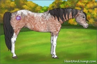 Horse Color:Bay Ice Tobiano 