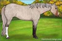 Horse Color:Silver Brown Roan Dun 