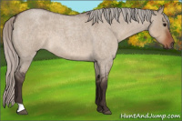 Horse Color:Silver Brown Roan Dun 