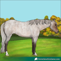 Horse Color:Silver Brown Roan Dun 