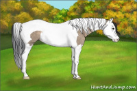 Horse Color:Brown Dun Splash Tobiano