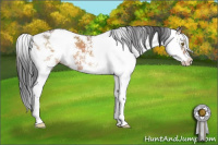 Horse Color:Brown Dun Sabino