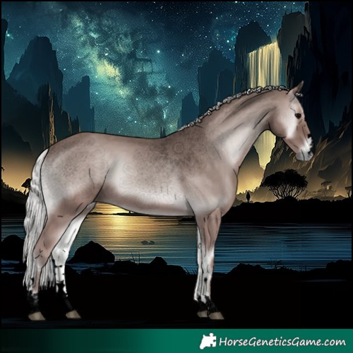 Horse Color:Void Platinum Silver Blue Onyx 