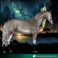 Horse Color:Void Platinum Silver Blue Onyx 