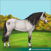 Horse Color:Bay Roan Dun Mushroom 