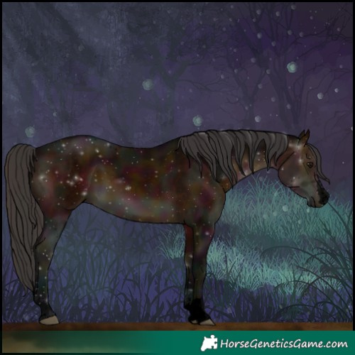 Horse Color:Void Midnight Brown