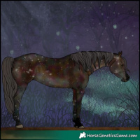 Horse Color:Void Midnight Brown 