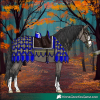 Horse Color:Grullo 