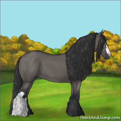 Horse Color:Grullo 