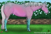 Horse Color:Watercolor Silver Bay 