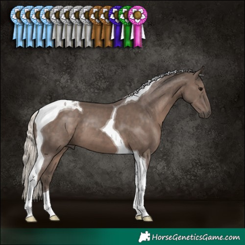 Horse Color:Silver Black Tobiano 