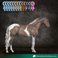 Horse Color:Silver Black Tobiano 