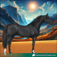 Horse Color:Black 