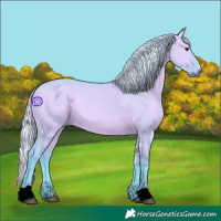 Horse Color:Void Watercolor Silver Brown Dun 