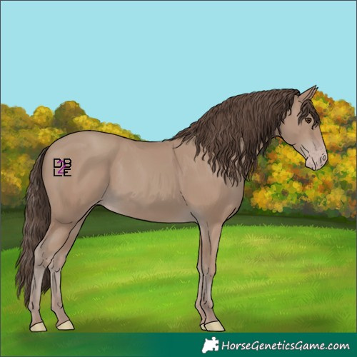 Horse Color:Classic Champagne 