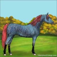 Horse Color:ERROR: UNKNOWN ANOMALY