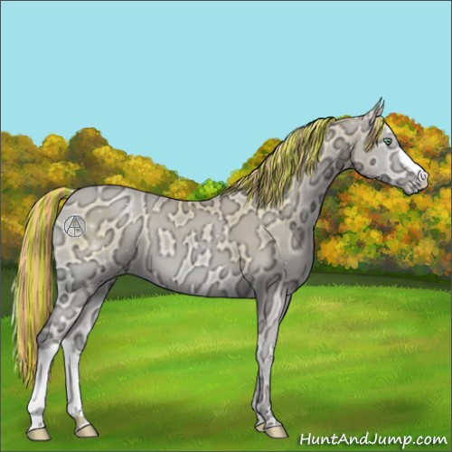 Horse Color:Painted Buckskin Ice Pearl Onyx 