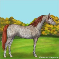 Horse Color:Painted Bay Ice Pearl Onyx 