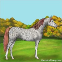 Horse Color:Painted Amber Cream Champagne Ice Pearl Onyx 