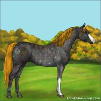 Horse Color:Painted Midnight Bay Ice Pearl Onyx 