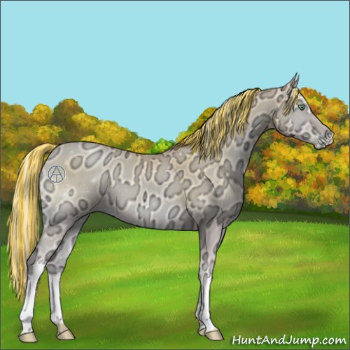 Horse Color:Painted Silver Buckskin Ice Pearl Onyx 