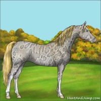 Horse Color:Painted Silver Buckskin Ice Pearl Onyx 