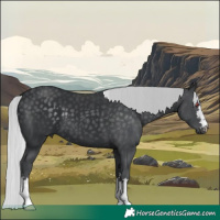 Horse Color:Silver Black Chinchilla 