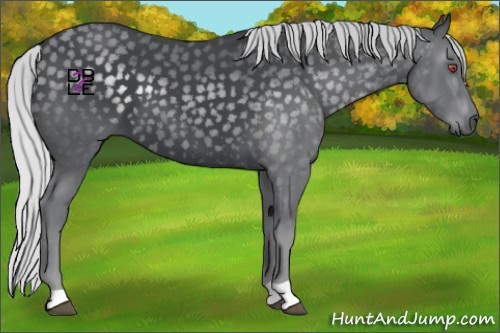 Horse Color:Silver Black Chinchilla 